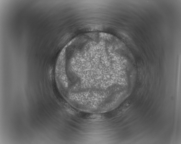 X0000063480123200602101816