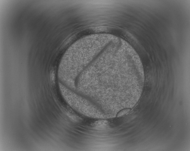X0000063480124200602101816