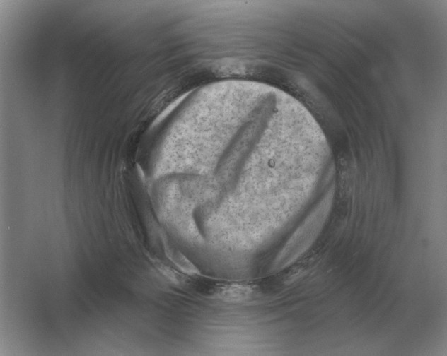 X0000063480125200602101816