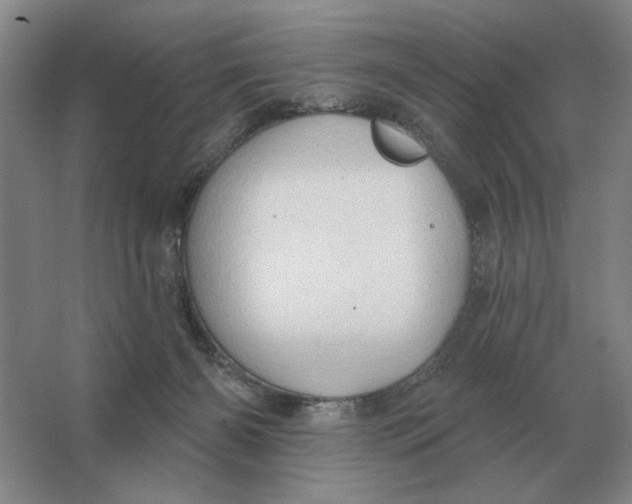 X0000063480126200602101816