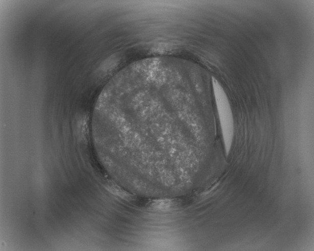 X0000063480127200602101816