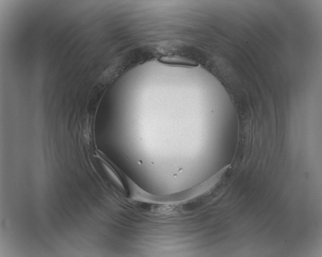 X0000063480129200602101816