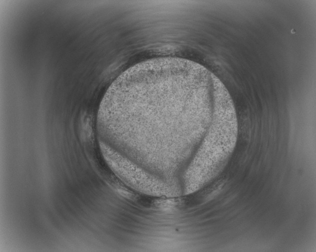 X0000063480131200602101816