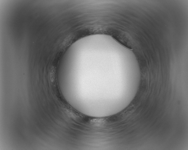 X0000063480133200602101816