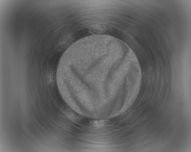 X0000063480134200602101816