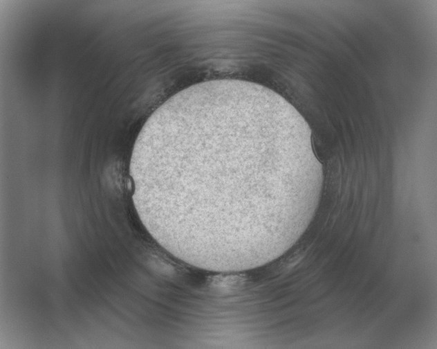X0000063480135200602101816