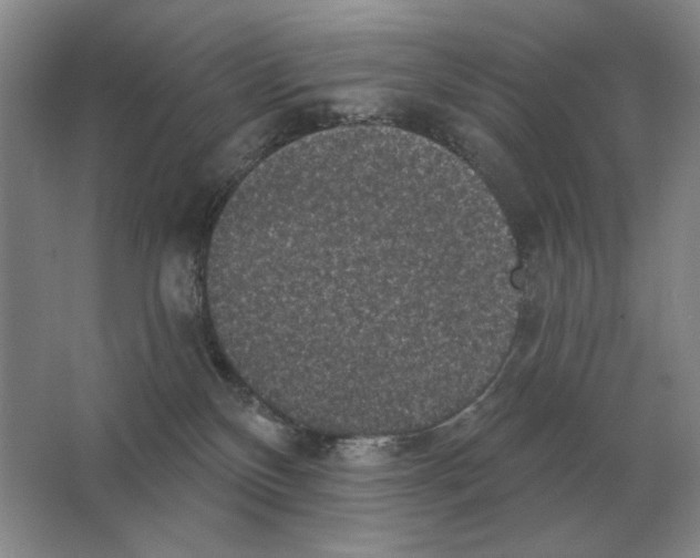 X0000063480136200602101816
