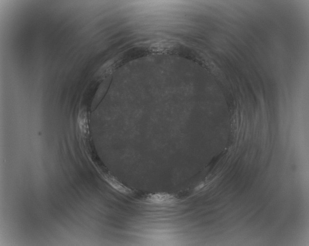 X0000063480137200602101816