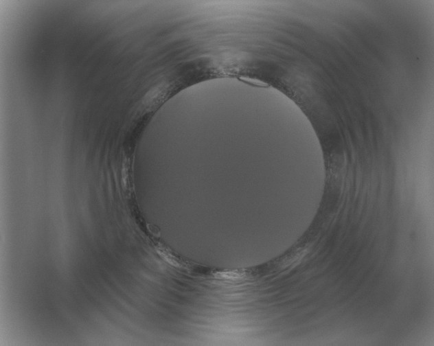 X0000063480139200602101816