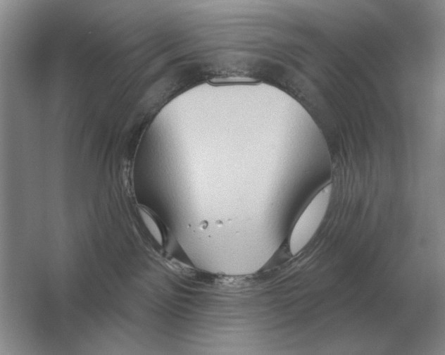 X0000063480141200602101816