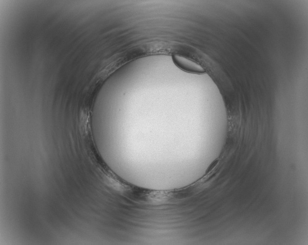 X0000063480142200602101816