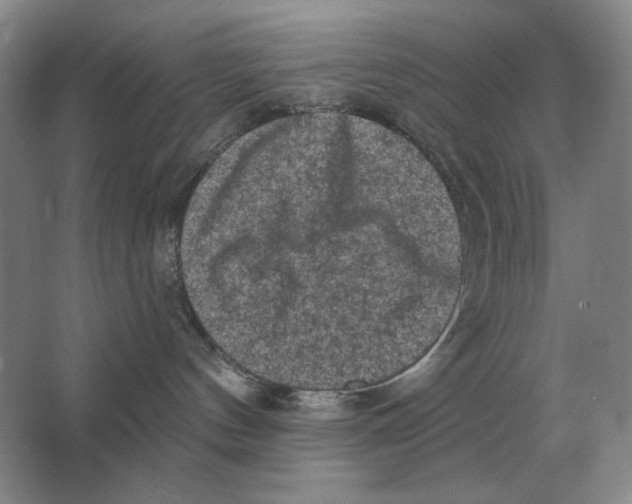 X0000063480144200602101816