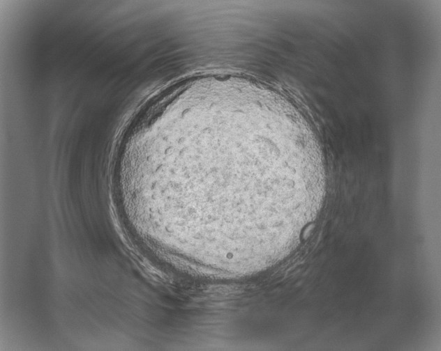 X0000063480145200602101815