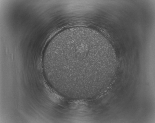 X0000063480146200602101815
