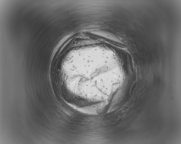 X0000063480147200602101815