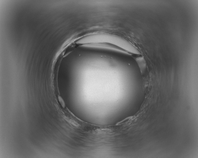X0000063480150200602101815