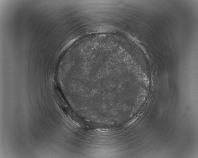 X0000063480154200602101815
