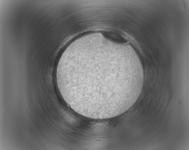 X0000063480155200602101815