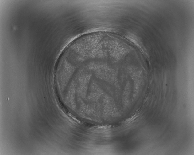 X0000063480156200602101815