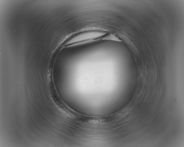 X0000063480160200602101815