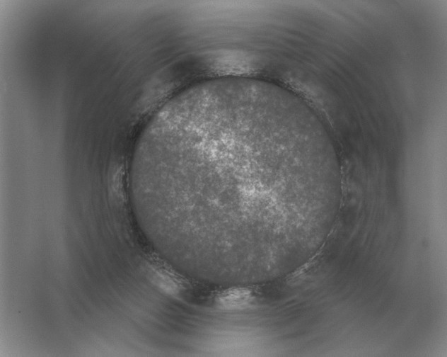 X0000063480162200602101815