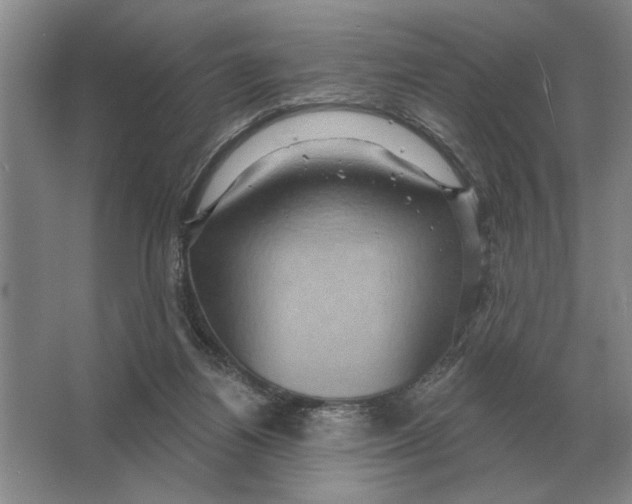 X0000063480164200602101815