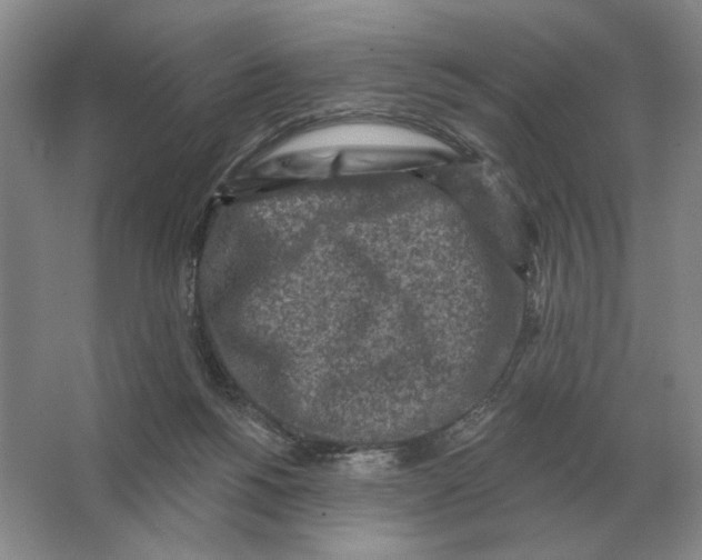 X0000063480168200602101816