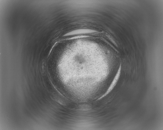 X0000063480169200602101816
