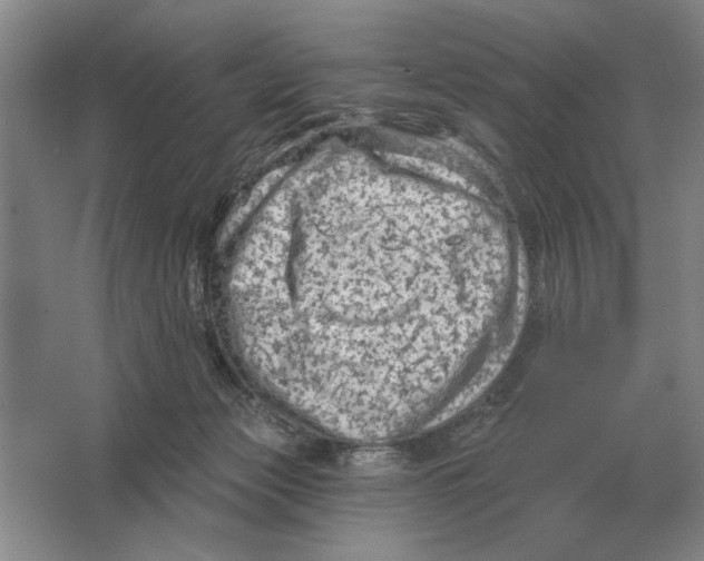 X0000063480173200602101816