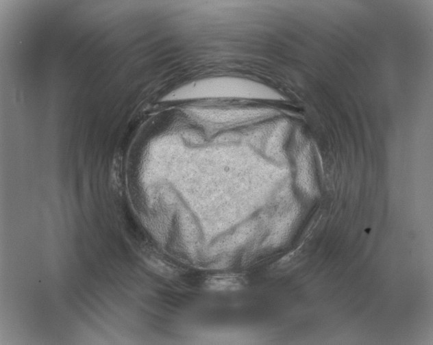 X0000063480175200602101816