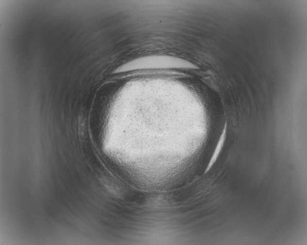 X0000063480177200602101816