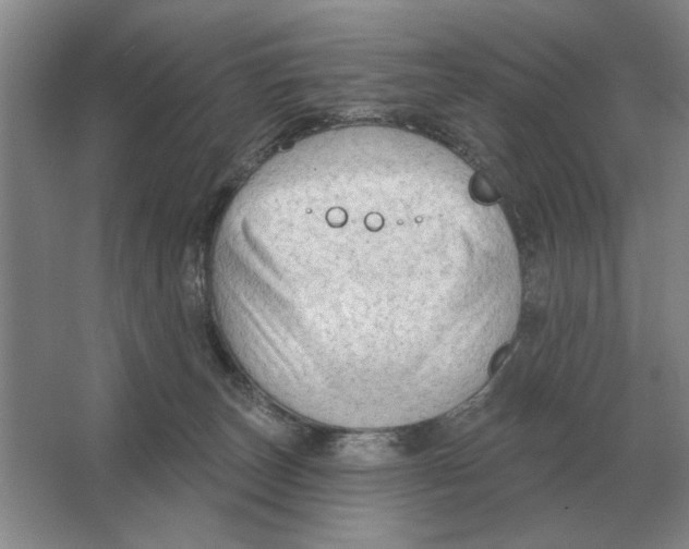 X0000063480179200602101816