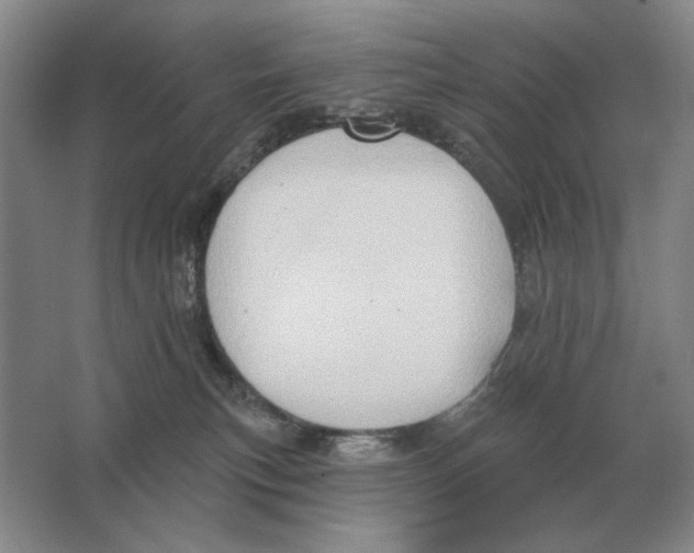 X0000063480183200602101816