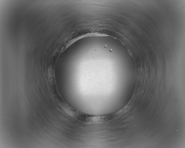 X0000063480184200602101816