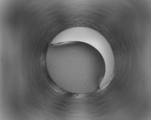 X0000063480186200602101816