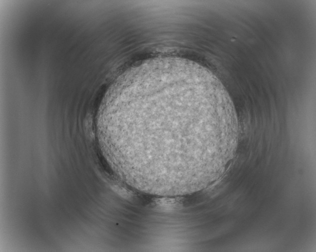 X0000063480187200602101816