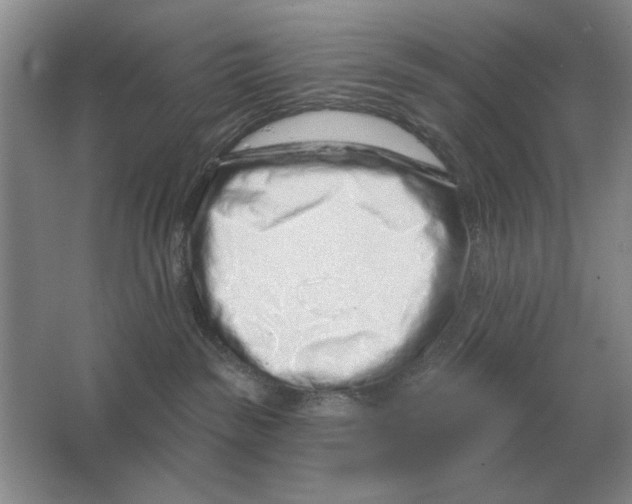 X0000063480189200602101816