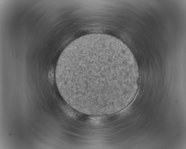 X0000063480190200602101816