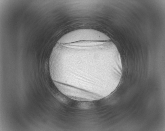 X0000063480191200602101816