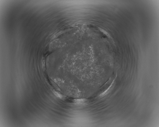 X0000063480192200602101816