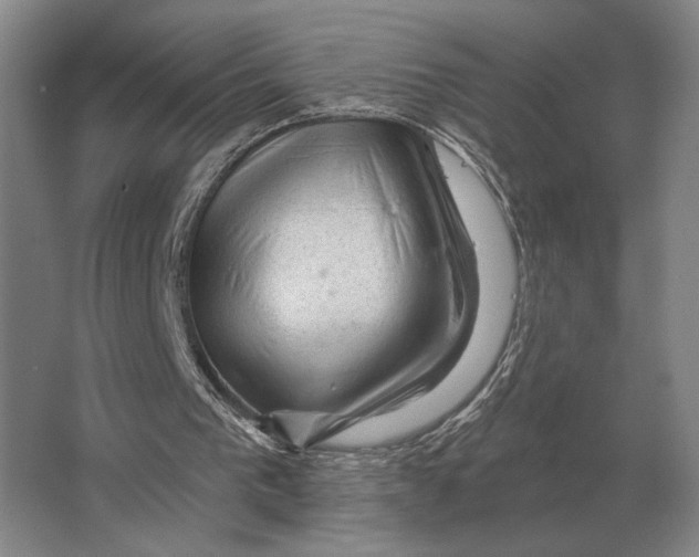 X0000063480193200602101815