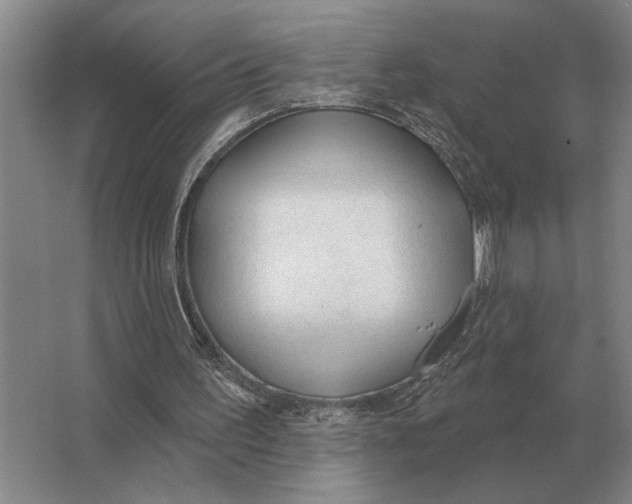 X0000063480195200602101815