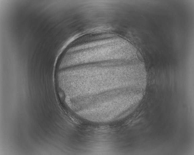 X0000063480196200602101815