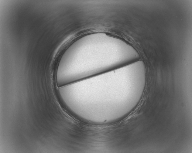X0000063480197200602101815