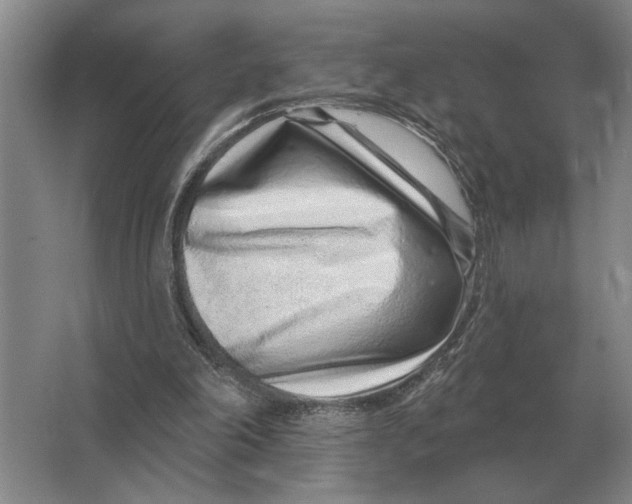 X0000063480198200602101815