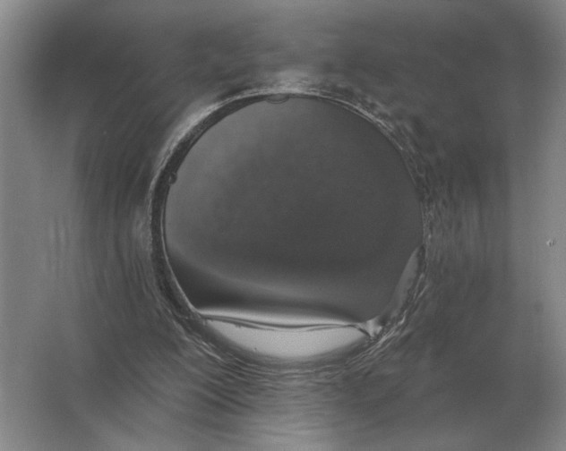 X0000063480200200602101815