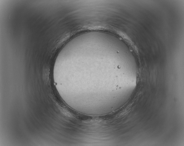 X0000063480201200602101815