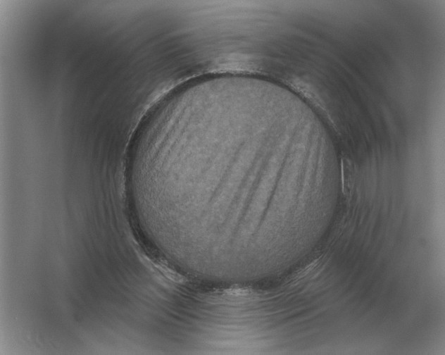 X0000063480204200602101815