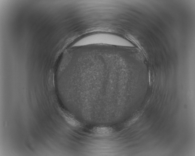 X0000063480205200602101815
