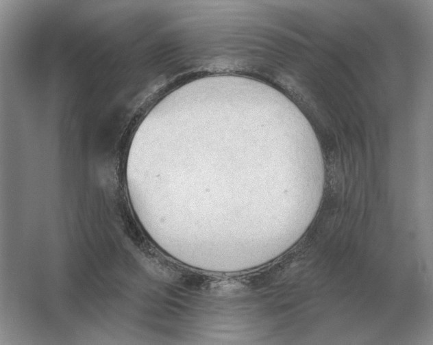 X0000063480208200602101815